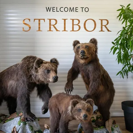 And Stribor