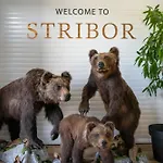 And Stribor