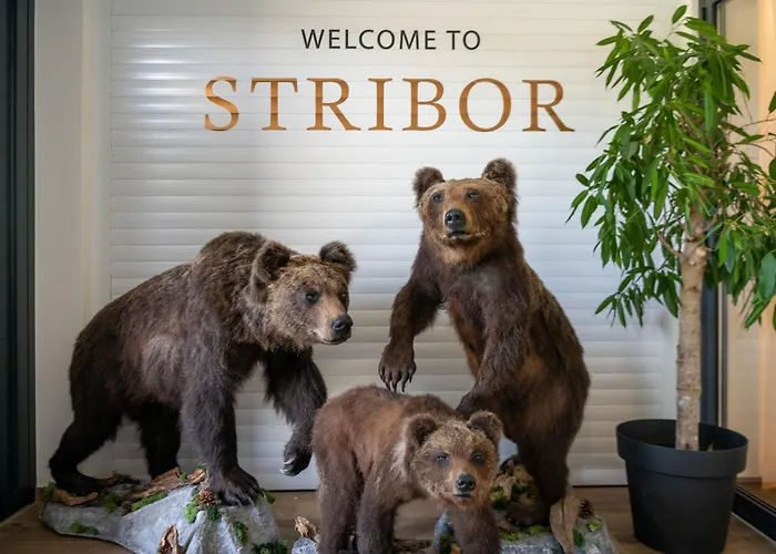 And Stribor